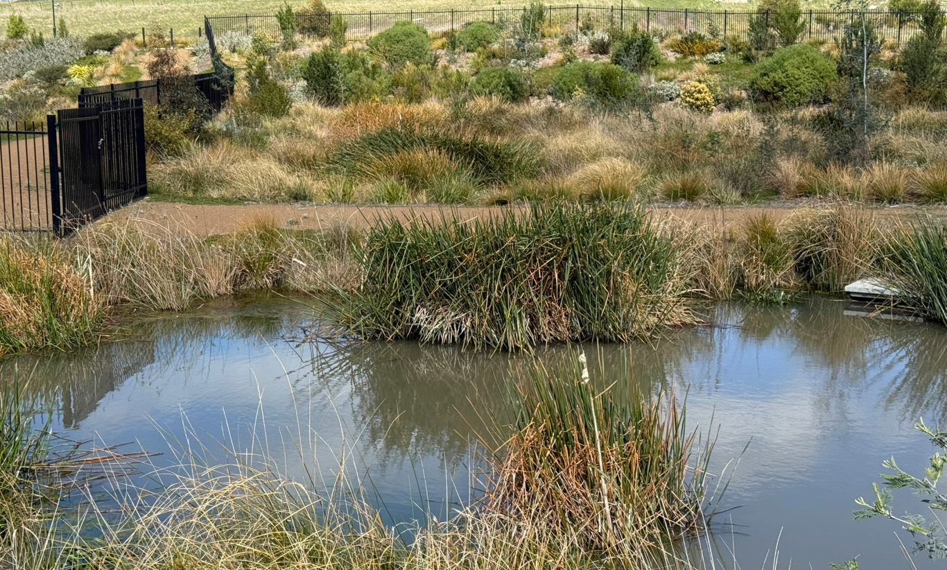 rokeby-tasmania-wilson-homes (3).png